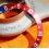 ROLEX AUTHENTIQUE GMT MASTER INSERT GRADUE 24H DE LUNETTE MONTRES VINTAGES GMT 1675, 16750 COULEUR PEPSI ROUGE & BLEU
