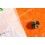 Rolex fourniture montres ref 5008, 3035-5008 barillet avec arbre, ressort de barillet, calibres automatiques 3035, 3030, 3000