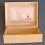 RARE MEDIUM BOITE ECRIN TUDOR COULEUR IVOIRE 95 00 1 SA GENEVE