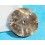 CORUM Rare Watch Blue Dial part Bubble XL Chronograph  Men's Watch 396-250-20-0F03FB30R