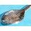 ROLEX RARE COLLECTIBLE SILVERPLATE SPOON BUCHERER OF SWITZERLAND BASEL