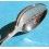 ROLEX RARE COLLECTIBLE SILVERPLATE SPOON BUCHERER OF SWITZERLAND BASEL