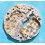 Rolex Part Movement 1530 8075 main plate hack second Function hacking Cal 1530 ref 1530-8075, 8075