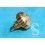 Rolex Rare & GENUINE Ø5.30mm Mint Ladies CROWN & TUBE 24-480-8 MONOBLOC 18K YELLOW GOLD TWINLOCK