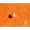 ROLEX ORIGINAL & VINTAGE 70's  YELLOW~CREAMY TONS TRITiUM INSERT PEARL DOT 5513,5512,1680,1665,5508,5510,6538 WATCH VINTAGE PART