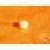 ROLEX ORIGINAL & VINTAGE 70's  YELLOW~CREAMY TONS TRITiUM INSERT PEARL DOT 5513,5512,1680,1665,5508,5510,6538 WATCH VINTAGE PART