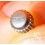 HEUER Stainless Steel Screwdown Watch Crown TAG Heuer models -5.20mm Diameter