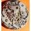 Collectible Watch Caliber, Mechnical Movement Valjoux Chronograph 7734 Tudor MonteCarlo,Vulcain, Heuer Autavia watches