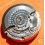 Rare Horology watch Part Mint Calibre Automatic Movement for sale