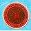 TUDOR 50 ANS 1926-1976 PASTILLE PLASTIQUE BOITE CHRONOGRAPH RARE TAG PLASTIQUE ROUGE MONTRES 7149,7169,7159,7031,7032 MONTECARLO