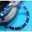 ROLEX RARE INSERT GRADUE LUNETTE BLEU MONTRES SUBMARINER DATE 16613,16618,16803,16808