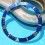 Rolex 90's Glossy Blue color Submariner Date Tutone 16803, 16613, 16808, 16618 Watch Bezel Graduated for sale