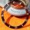 ROLEX INSERT PATINE GRADUE MONTRES VINTAGES SUBMARINER, SEA-DWELLER 1665,5513,1680,5512 & TUDOR 79090,7928,7021,7016