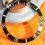 ROLEX ORIGINAL INSERT NOIR MONTRES SUBMARINER DATE 16800,168000,16610