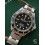 Rolex Accessoire montres Sea-Dweller 16660,16600 insert gradué Noir Fat Four Vintage Luminova