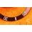 Rolex Vintage 80's Accessoire montres Sea-Dweller 16660,16600 insert gradué Tropical Perle Tritium