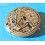 ROLEX WATCH PART SPARE FOR SALE HOROLOGICAL PLATE CALIBER 1520, 1530, 1560, 1570