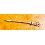 Breitling authentique Aiguille chronographe Tritium Centrale Ancre or jaune