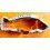 ROLEX 1983 WATCH OYSTER BRACELET 93150/585,20mm SEA-DWELLER 1665 Great White Mk 4