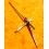Rolex Genuine used Luminova Men's Datejust Hands Yellow gold luminous 16018,16238 Cal 3035,3135