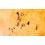 Rolex Horlogerie & accessoires visseries Calibres montres automatiques Mouvements 3185,3135,3030