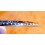 ROLEX  WATCH PART GMT 1675, 16750 BEZEL TUTONE INSERT PEPSI COLOR BLUE & RED