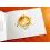 ROLEX BOOKLET IHRE ROLEX OYSTER 2008 SUBMARINER DAYDATE, GMT, SUBMARINER, DATEJUST WATCHES
