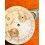 Rare Accessoire horlogerie Montres Cadran vintage Chronographe Suisse Antimagnetic pour modèle or rose