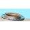 ROLEX GENUINE MINT WATCH PART GMT 1675, 16750 BIDIRECTIONAL WATCH SSTEEL BEZEL