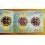 ROLEX 1981-1982 BOOKLET LIVRET MONTRES VINTAGES SUBMARINER, SEA-DWELLER 5513,1665,16660,16800,16808