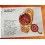 ROLEX 1973 VINTAGE & AUTHENTIQUE LIVRET MONTRES GMT MASTER 1675, 1675/3, 1675/8, NOTICE, BOOKLET