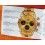 Rolex 1972/1973 Vintage Livret Montres anciennes Paul Newman Daytona 6263,6262,6265,6240,6239