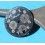 RARE CADRAN BREGUET TYPE XX TRANSATLANTIQUE FLYBACK LUMINOVA ref 3820ST/H2/9W6