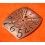 GENUINE & RARE FRANCK MULLER PERFECT DAY WATCHES COPPER SALMON COLOR DATE 