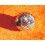 HEUER Rare vintage watch part 70's Crown Steel HEUER Steve Mcqueen 6mm Monaco ref 1133B