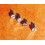Audemars Piguet Rares authentiques Vis hexagonales femelles de lunette montres Royal Oak