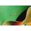 Rolex Exclusive & Collectible Fir Green Card Holder paper documents watches guarantee, 11.5 cm x 8cm,ref 4119209.05