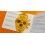 Rolex 1972/1973 Vintage & Collectible Genuine Cosmograph Daytona Paul Newman 6263,6265 Booklet, manual