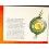 Rolex Authentic Instructions Manual Italian Booklet 2016 DATEJUST 116200,116201,116203,116208