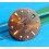 Rolex GMT MASTER BRONZE BROWN NIPPLE DIAL VINTAGE 16758 -16753 tutone cal.3075
