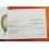 Rolex 2017 Original Italian Rolex DAY-DATE PRESIDENT 118206,118208,118209 Booklet, advertising, green manual