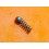 Rolex 317-116660 Original Rare stud inner click-spring Ceramic bezel Insert Sea-Dweller DEEPSEA 116660