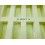 Rolex Genuine Green almond Tray 8 Slots Displays Watches 14060,114060,16610,116610,daytona 16520,116500,GMT MASTER 16710,126710