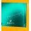 Rolex Livret Vert GUARANTEE MANUAL WORLDWIDE SERVICE Multilingues Garantie Internationale Montres Submariner,DateJust