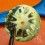 ROLEX GENUINE AMAZING YELLOW PATINA 16660,16600 WATCH PART TRITIUM DIAL SEA-DWELLER CAL 3035,3135