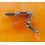 ROLEX BIG CROWN PARTIAL RIVETS LINKS 7205 for repair 70's Rivet 19mm band Daytona 6240,6241,6263,6262,6240,6239
