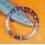 Rolex GMT Master incredible Shark Grey color watch S/S 16700,16710,16760 Bezel 24H Insert Part