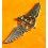 Breitling Logo écusson, symbole plastique doré Montres Breitling Ailé couleur dorée 6cm