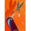 Vintage Collectible Baume & Mercier Pocket Knife/Multi-tool ROSTFREI Victorinox Stainless Switzerland