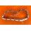 Watch Spare Accessorie Rolex 7204 Style Type Rivet Ladies bracelet 13/11mm rivits links
